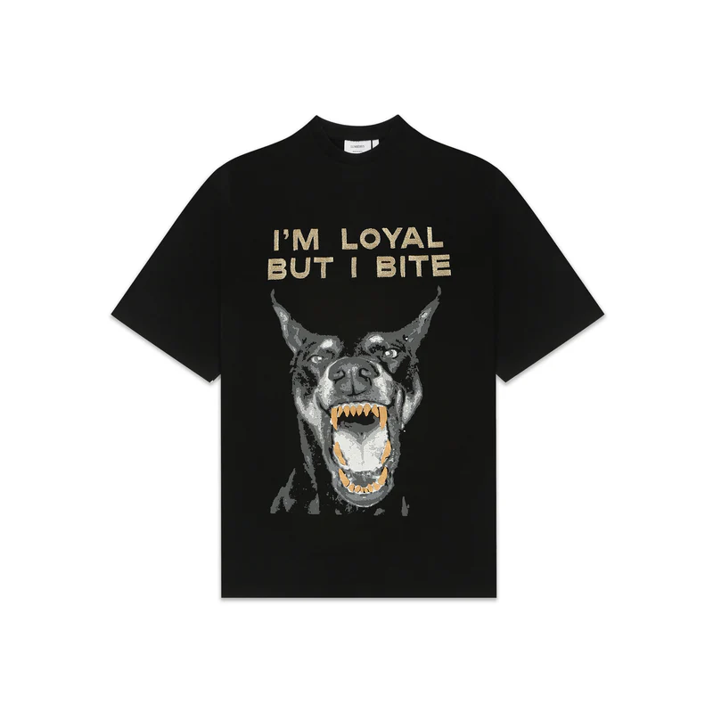 1_849ab118-ad1f-41a9-9c18-f3d1a13fd42b